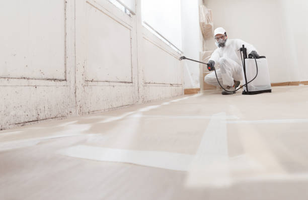 24/7 Emergency Attic Mold Remediation experts in Palmyra, PA