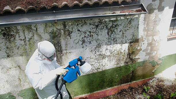 Top rated local Attic Mold Remediation specialists in Palmyra, PA